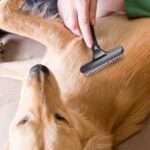 Pet Grooming Rake Double Row Pins Shedding And Dematting Undercoat Rake Comb For Dogs And Cats Safe Grooming Deshedding Brush Comb Out Mats Tangles Easily - Image 8