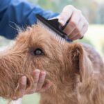 Pet Grooming Rake Double Row Pins Shedding And Dematting Undercoat Rake Comb For Dogs And Cats Safe Grooming Deshedding Brush Comb Out Mats Tangles Easily - Image 4